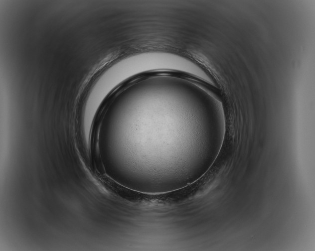 X0000086980634200704161449