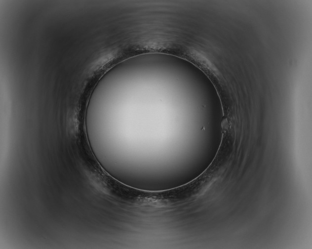 X0000086980635200704161449