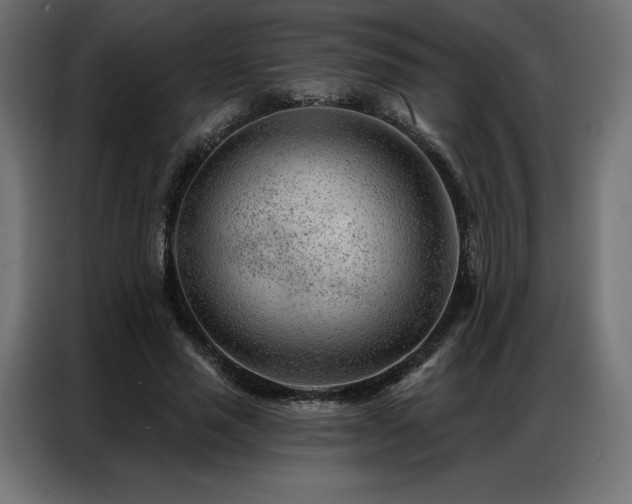 X0000086980637200704161449