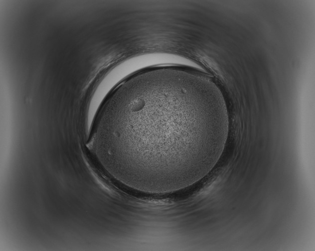 X0000086980638200704161449
