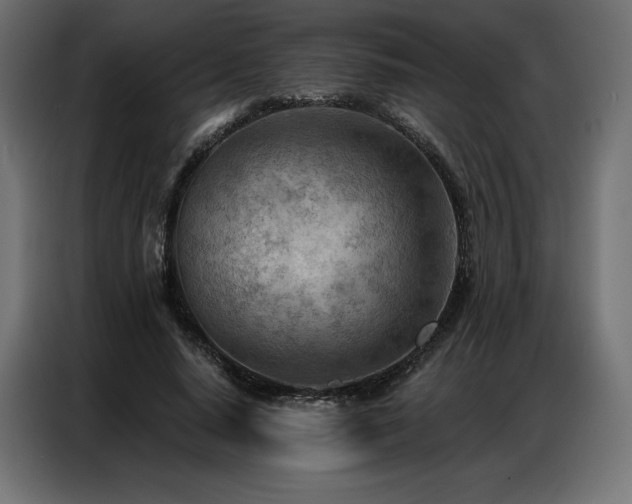 X0000086980640200704161449
