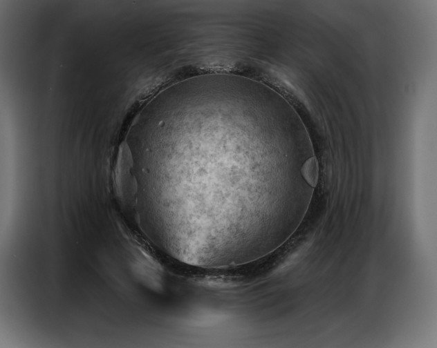 X0000086980641200704161449