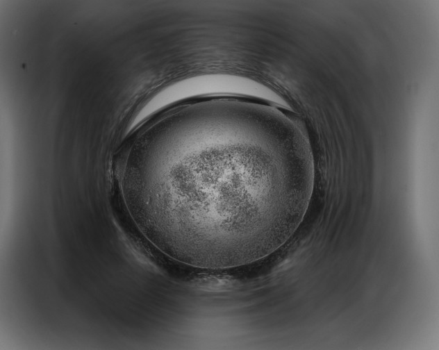 X0000086980642200704161449