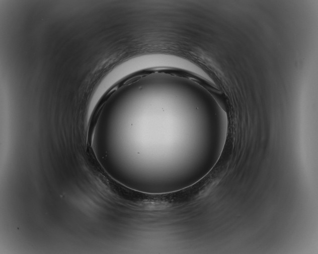 X0000086980644200704161449