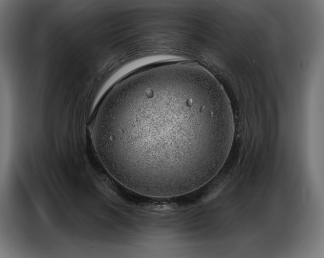 X0000086980646200704161449