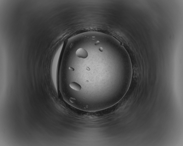 X0000086980648200704161449