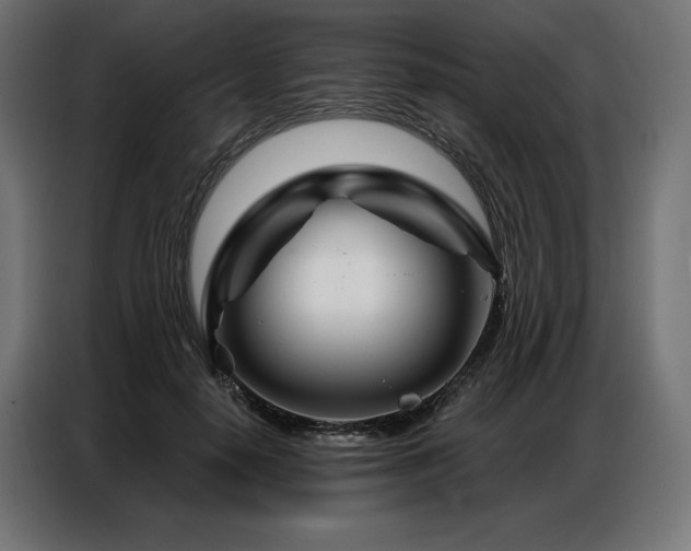 X0000086980650200704161449