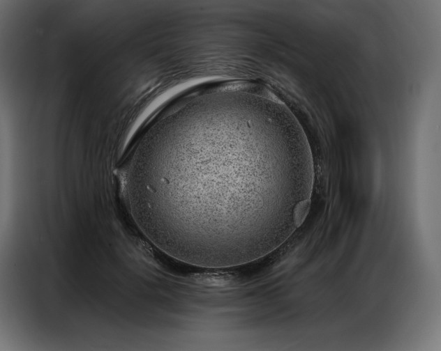 X0000086980652200704161449