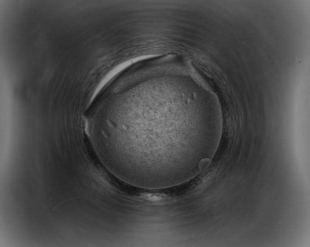 X0000086980654200704161449