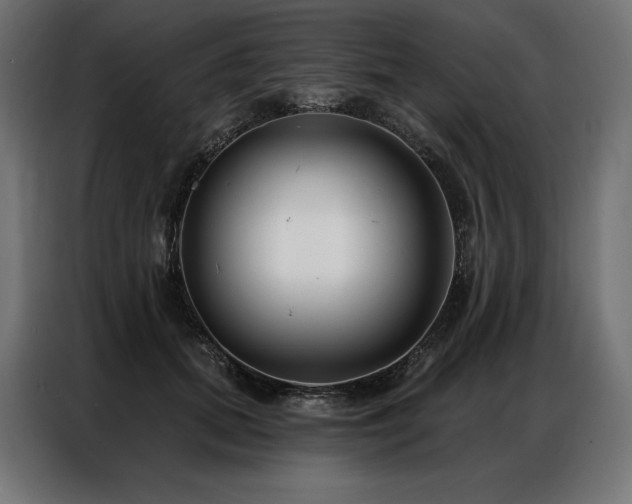 X0000086980655200704161449