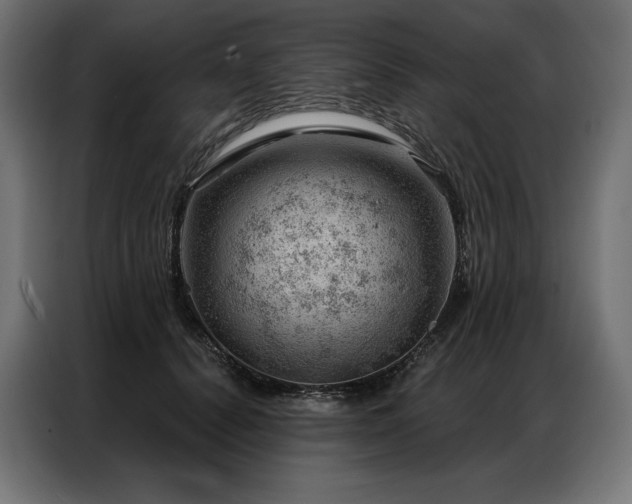 X0000086980656200704161449