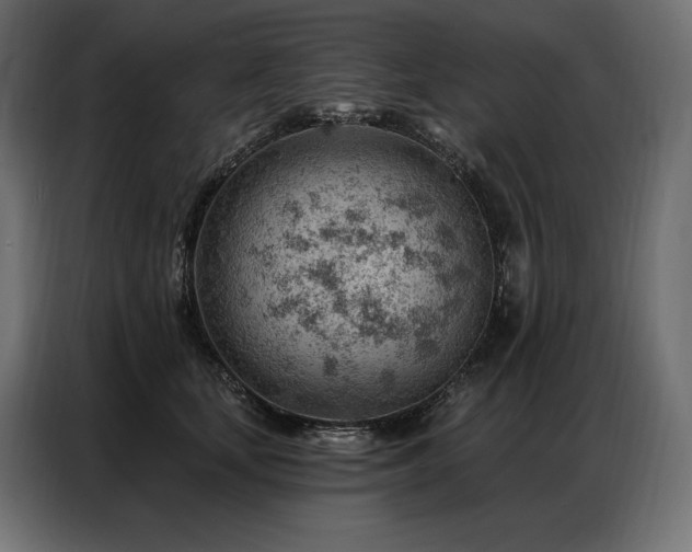 X0000086980659200704161449