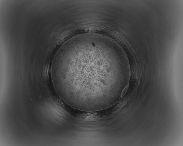 X0000086980660200704161449