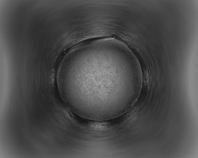 X0000086980664200704161449