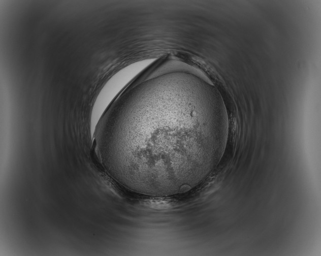 X0000086980668200704161449