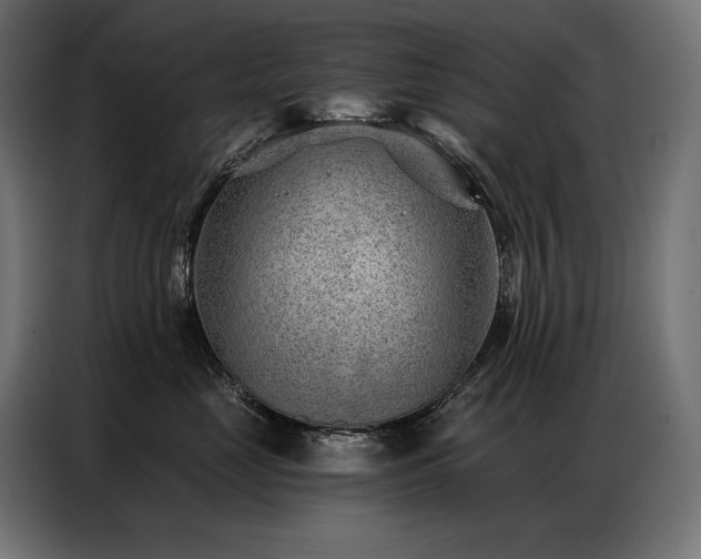 X0000086980669200704161449