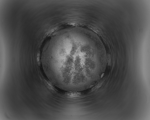X0000086980670200704161449