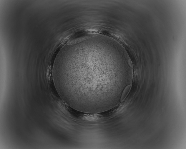 X0000086980671200704161449
