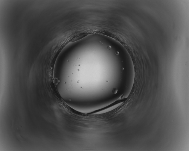 X0000086980672200704161449