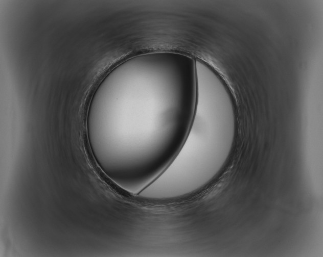 X0000086980673200704161449