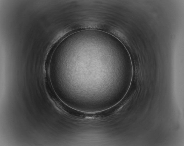X0000086980674200704161449