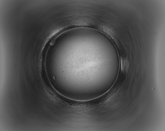 X0000086980675200704161449