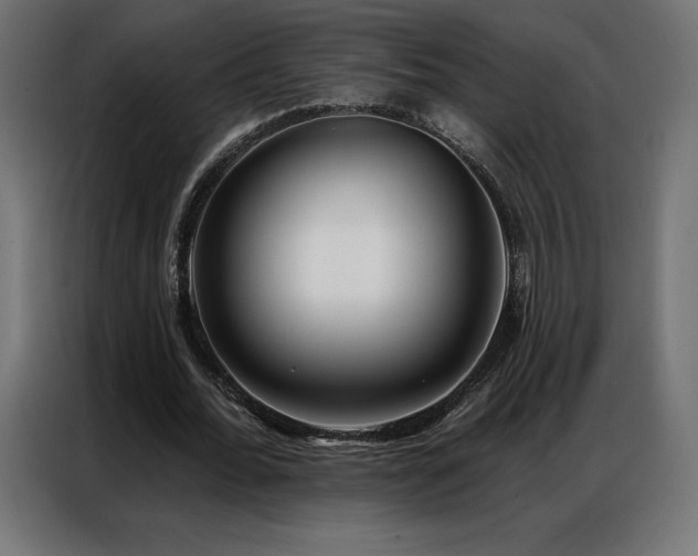 X0000086980676200704161449