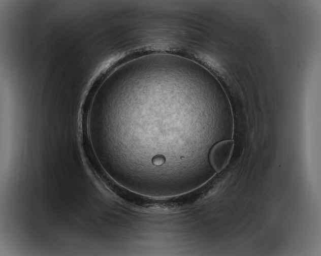 X0000086980678200704161448
