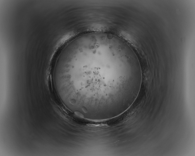 X0000086980679200704161448