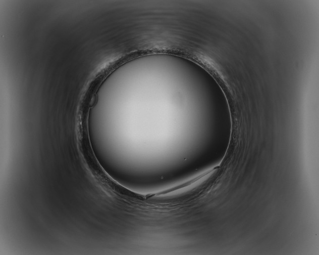 X0000086980680200704161448