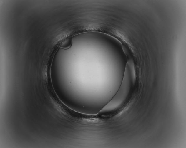 X0000086980681200704161448