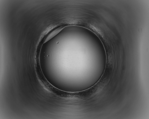 X0000086980682200704161448