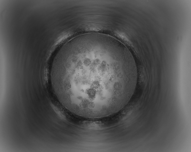 X0000086980683200704161448