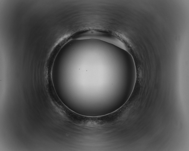 X0000086980684200704161448