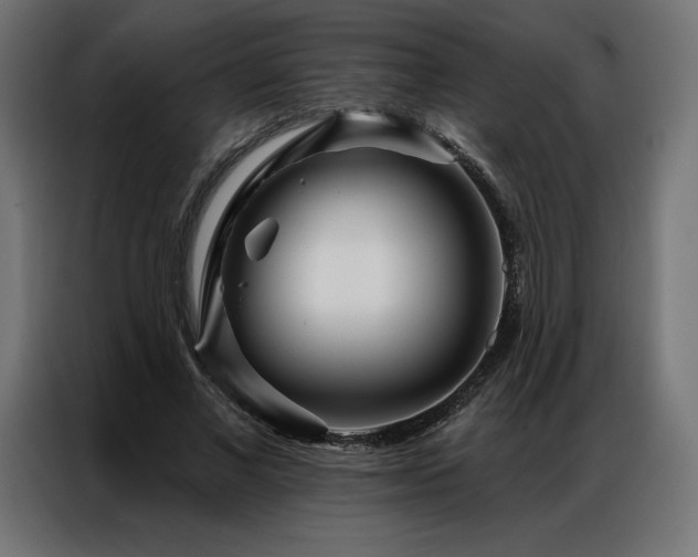 X0000086980685200704161448