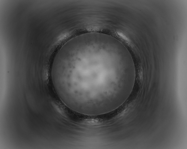 X0000086980687200704161448