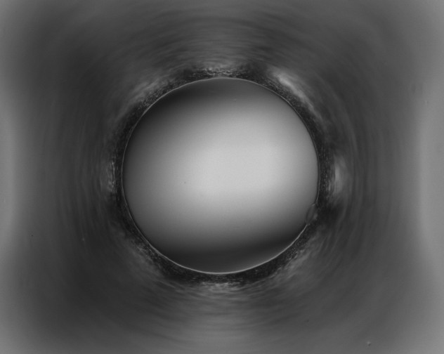 X0000086980689200704161448