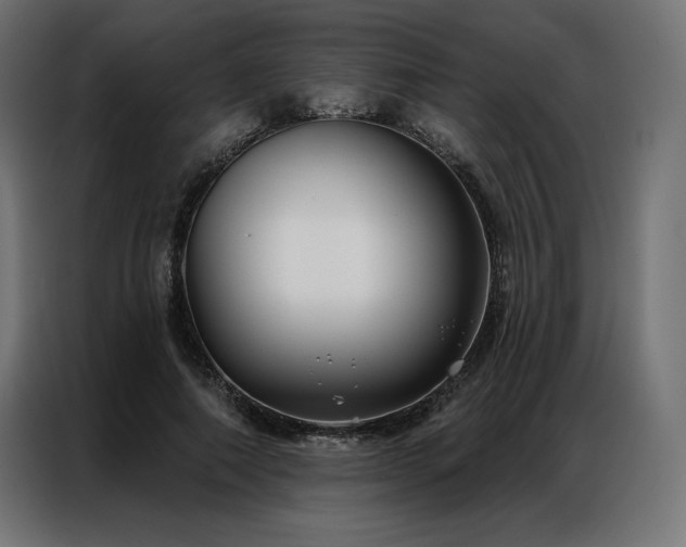 X0000086980690200704161448