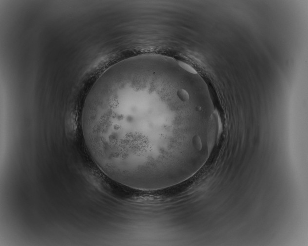 X0000086980691200704161448