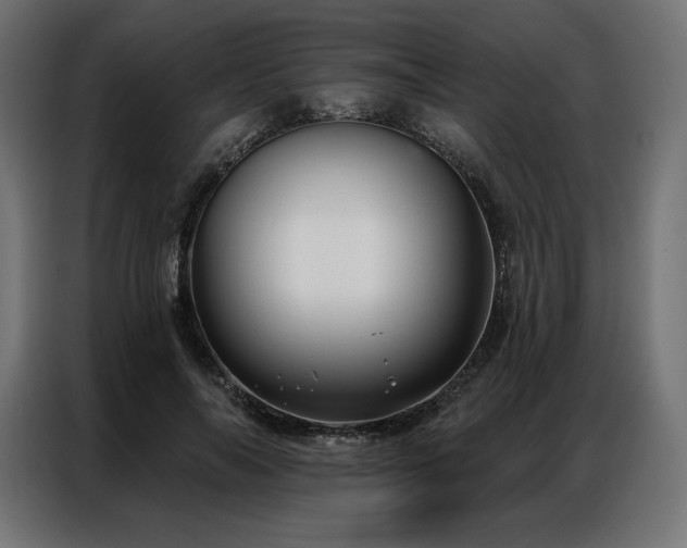 X0000086980694200704161448