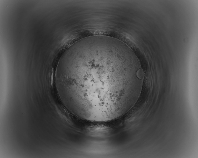 X0000086980695200704161448