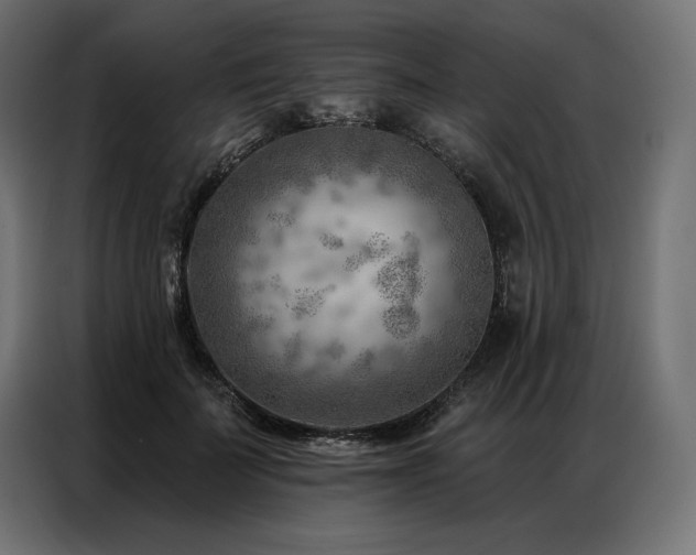 X0000086980699200704161448