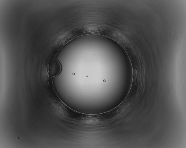 X0000086980702200704161448