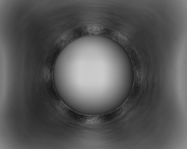 X0000086980705200704161448