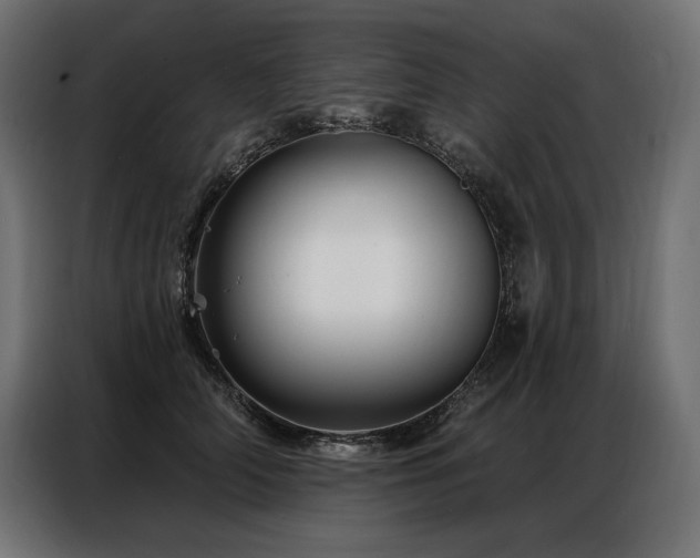 X0000086980706200704161448