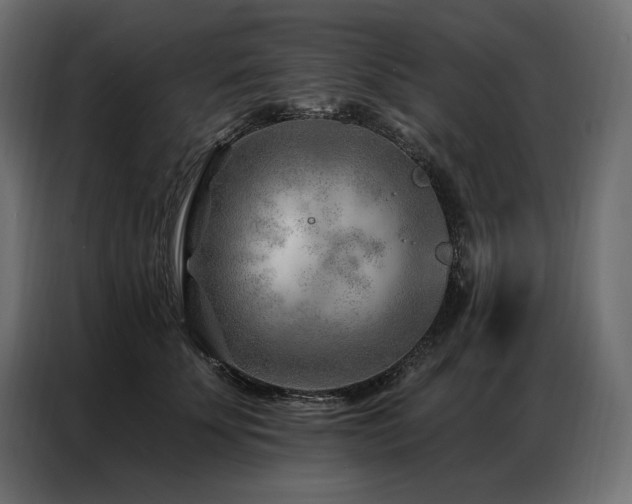X0000086980707200704161448