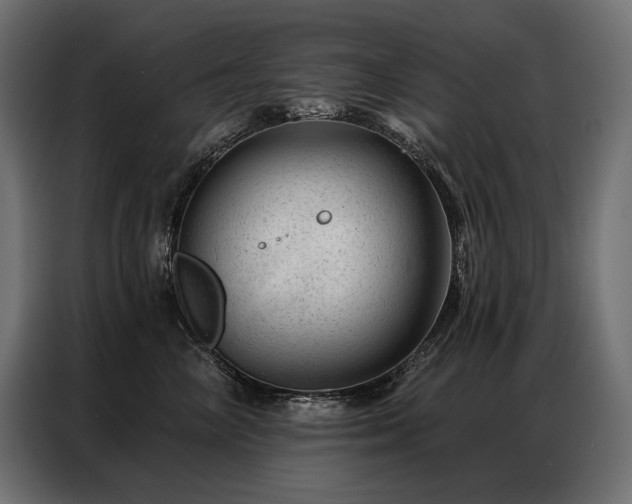 X0000086980714200704161448