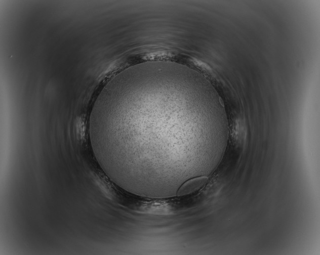 X0000086980715200704161448
