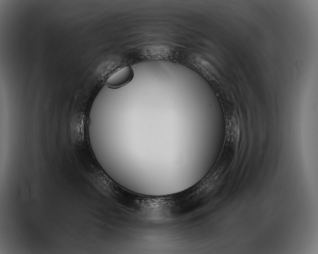 X0000086980717200704161448