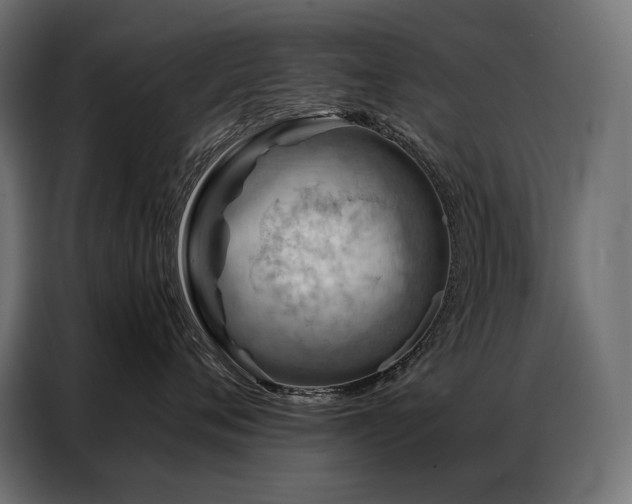 X0000086980720200704161448